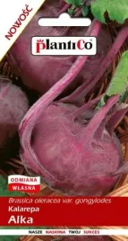 kalarepa-czerwona-duza-kulista-alka-nasiona-kalarepy-2g-plantico