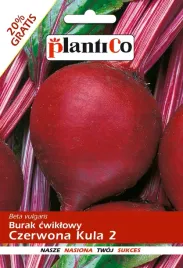 burak-czerwona-kula-slodki-soczysty-nasiona-buraka-10g-plantico