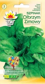 szpinak-zimowy-olbrzym-siew-wiosna-jesien-nasiona-szpinaku-10g-toraf