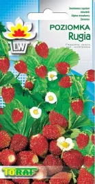 poziomka-rugia-odporna-na-mroz-nasiona-poziomki-02g-toraf