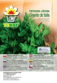 pietruszka-gigante-d-italia-nasiona-pietruszki-100g-toraf-duze-opakowanie