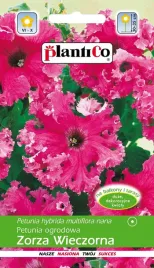 petunia-ogrodowa-zorza-wieczorna-rozowa-nasiona-petunii-plantico-0-05g