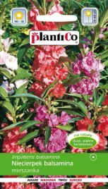 niecierpek-balsamina-mix-nasiona-kwiaty-niecierpka-roznobarwne-plantico-1g