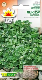 rukiew-wodna-jadalne-liscie-nasiona-rukwi-wodnej-toraf-02g-wieloletnia