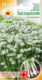 szczypiorek-czosnkowy-nasiona-1g-toraf-roslina-wieloletnia