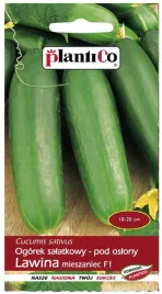 ogorek-lawina-f1-pod-oslony-odmiana-wczesna-nasiona-ogorka-1g-plantico