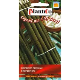 skorzonera-jadalny-korzen-nasiona-skorzonery-2g-plantico-onz