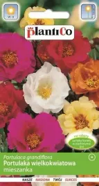 portulaka-wielkokwiatowa-mieszanka-mix-nasiona