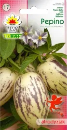 pepino-baklazan-wieloletni-nasiona-toraf-10szt