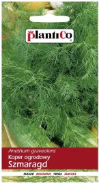 koper-szmaragd-odmiana-sredniopozna-nasiona-kopru-5g-plantico