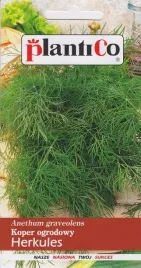 koper-herkules-uniwersalny-nasiona-kopru-5g-plantico-odmiana-plenna