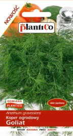 koper-goliat-do-kwaszenia-nasiona-kopru-plantico