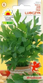 lubczyk-przyprawa-ziolo-nasiona-lubczyku-1g-toraf-wieloletni