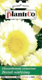 zlocien-wiencowy-zolty-nasiona-kwiaty-zlocienia-1g-plantico-jednoroczny