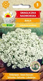 smagliczka-nadmorska-biala-nasiona-kwiaty-smagliczki-0-5g-toraf-jednoroczna