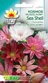 onetek-muszelkowy-kosmos-sea-shell-mix-nasiona