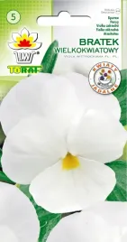 bratek-wielkokwiatowy-bialy-nasiona-kwiaty-bratka-02g-toraf-dwuletni