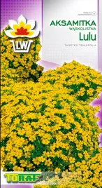 aksamitka-waskolistna-lulu-zolta-nasiona-aksamitki-05g-toraf-zolte-kwiaty
