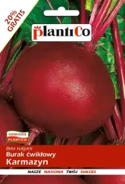 burak-cwiklowy-karmazyn-nasiona-buraka-plantico