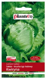salata-kwiryna-lodowa-krucha-gruntowa-nasiona-plantico-1g-odmiana-wczesna