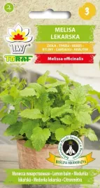 melisa-lekarska-ziolo-nasiona-melisy-05g-toraf-wieloletnia