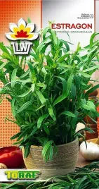 estragon-ziele-ziolo-wieloletnie-toraf-01g-nasiona-estragonu