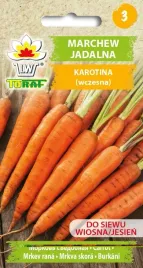 marchew-karotina-karotka-slodka-odmiana-wczesna-5g-toraf-nasiona-marchwi