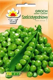 groch-szesciotygodniowy-zielony-groszek-wczesny-toraf-50g-nasiona-grochu