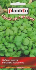 portulaka-warzywna-jadalna-nasiona-portulaki-05g-plantico-onz-jednoroczna
