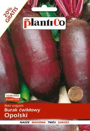 burak-opolski-podluzny-nasiona-buraka-plantico