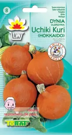 dynia-japonska-uchiki-kuri-hokkaido-nasiona-toraf