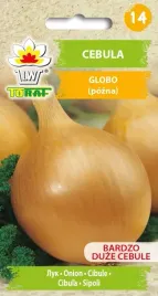 cebula-globo-odmiana-pozna-2g-toraf-nasiona-cebuli-duza-owalna
