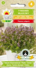 tymianek-ziolo-przyprawa-nasiona-tymianku-03g-toraf-wieloletni