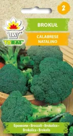 brokul-calabrese-natalino-1g-toraf-nasiona-brokulu-odmiana-sredniopozna