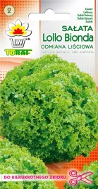 salata-lollo-bionde-lisciowa-zielona-toraf-1g-nasiona-salaty-kedzierzawej