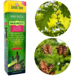 mikoryza-do-drzew-zielony-dom-vaxi-root