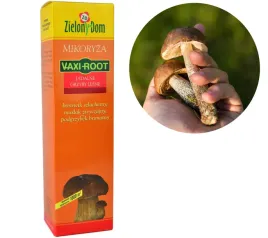 grzyby-lesne-mikoryza-zielony-dom-vaxi-root