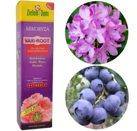 mikoryza-do-borowek-szczepionka-mikoryzowa