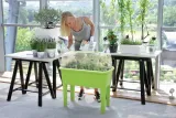 prosperplast-respana-planter-set-drep770-limonka-stan-nowy