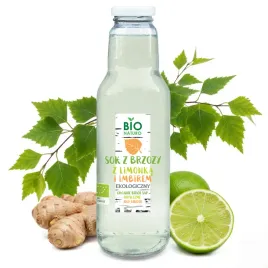 Zdjęcie produktu Sok z Brzozy Limonka i Imbir 100% EKOLOGICZNY Naturalny 750ml / BIO Naturo