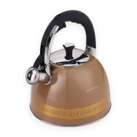 czajnik-tradycyjny-stalowy-masterpan-3-l-brazowy
