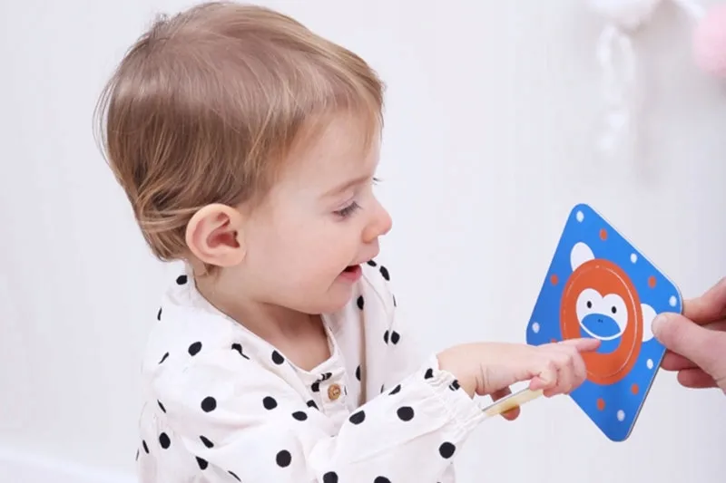 czuczu-odkrywam-kolo