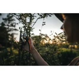 sekator-nozycowy-plus-powerlever-p721