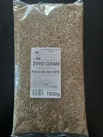 zyto-ozime-poplon-zielony-nawoz