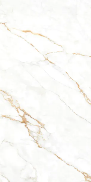 plytki-podlogowe-60x120-gres-statuario-acura-bialy-marmur-polysk-zlota-zyla-przeznaczenie-garaz-kuchnia-lazienka-piwnica-przedpokoj-taras-balkon-kotlownia