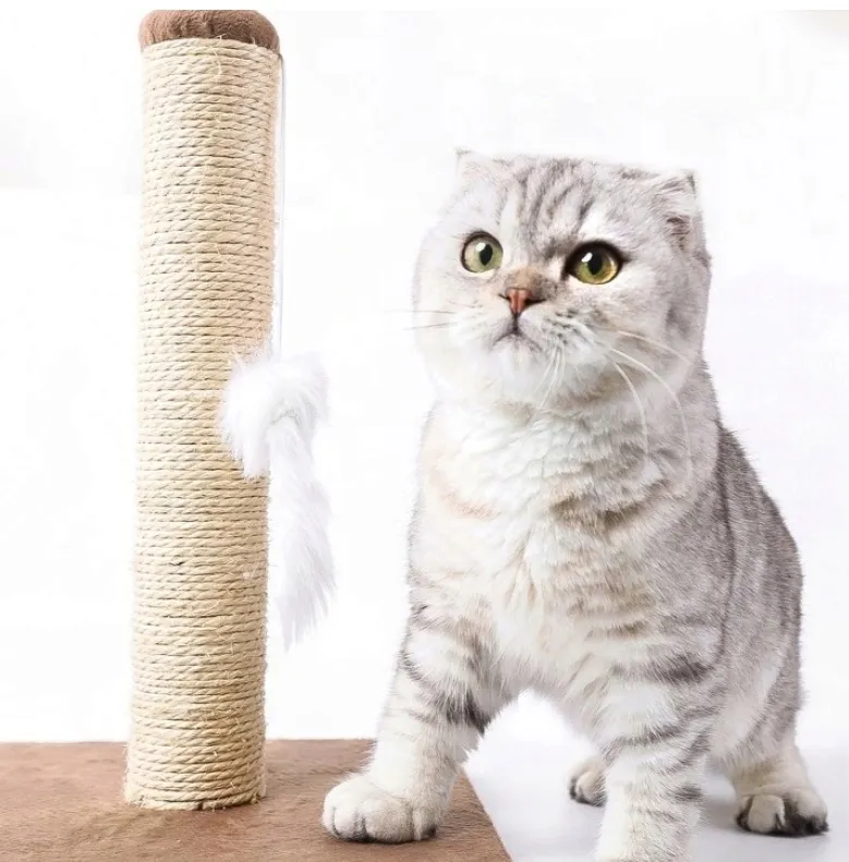 drapak-niski-slupek-do-drapania-do-60-cm-stan-nowy