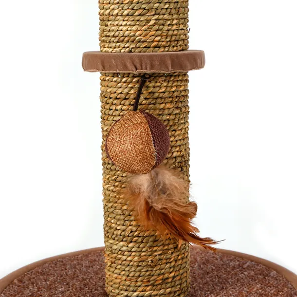 drapak-niski-slupek-do-drapania-do-60-cm-wysokosc-cm-do-60-cm