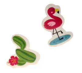 gumki-gumka-do-mazania-kaktus-flaming-zestaw-2-sztuki