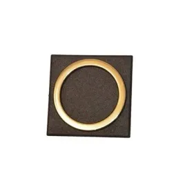 sartpol-znak-wc-damski-zloto