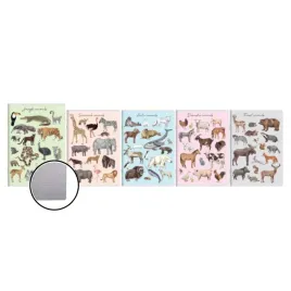 zeszyt-a5-32k-podwojna-linia-dwukolorowa-animals-okladka-pp-top-2000